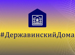 В Тамбовской области запущен челлендж #ТыГеройУдаленки