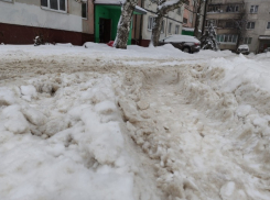 В Тамбове разработают новую схему уборки города