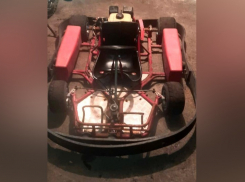 В мичуринском картинг-центре, где девочка чуть не удушилась шарфом, нашли нарушения