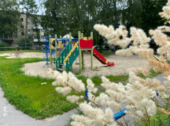 В Тамбове нашли мошенника, похитившего 9 миллионов при благоустройстве дворов