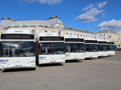 Графики движения общественного транспорта в Тамбове могут изменить