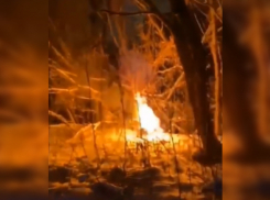 Действовавшая в регионе наркобанда поджигала живьём своих провинившихся курьеров