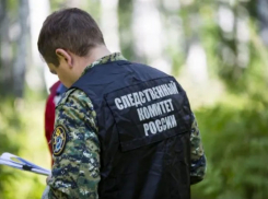В Мучкапском районе устанавливают обстоятельства гибели женщины, найденной в лесополосе