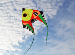 В день выборов в Тамбове пройдёт фестиваль-конкурс воздушных змеев