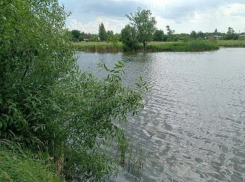 В пруде Янсон Мичуринского округа нашли тело утопленника