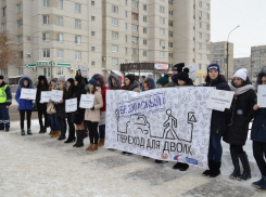 Студенческий десант высадился на одном из пешеходных переходов Тамбова