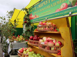 В Мичуринске пройдёт трёхдневная ярмарка ко Дню садовода