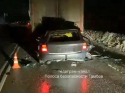 Смертельное ДТП произошло на трассе у Большой Липовицы