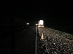 Пешеход погиб под колесами КамАЗа на трассе в Тамбовском районе