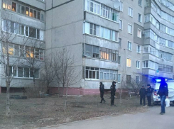 На севере Тамбова женщина упала с десятого этажа