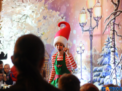 Губернаторская ёлка «зажглась» для 1250 ребят со всей области 