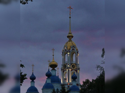 Тамбовская епархия заявила, что тамбовчане, которым мешает колокольный звон, имеют «духовные проблемы»