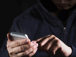 Тамбовские «волки аферы» вышли на «охоту»