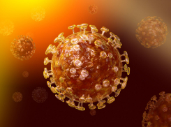 В Тамбовской области за сутки коронавирус выявлен у 128 человек