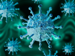 В регионе увеличилось количество смертей от коронавируса