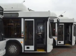 В Тамбове с 22 января запустят новый автобусный маршрут №14Т