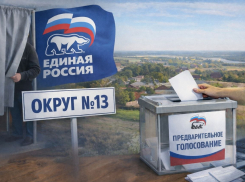 Вице-губернатор заявилась на праймериз «Единой России» по выборам в Тамбовскую облдуму