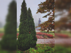 Начало рабочей недели будет пасмурным 