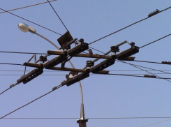 Тамбовские активисты просят найти виновных в «разрушении троллейбусного движения»