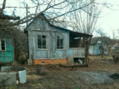 Тамбовчане стали активно продавать дачи