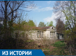 Будет ли уничтожена еще одна тамбовская дворянская усадьба?