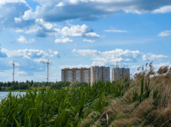 Ближайшие дни в Тамбове будут тёплыми и малооблачными