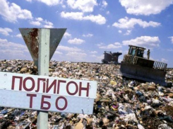 Неутомимая экология