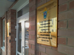 Следователи проверят жалобу на отсутствие дороги в деревне Тамбовской области