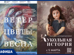 Мартовские выставки Тамбова