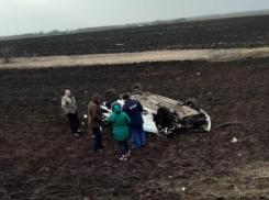 В Сампурском районе иномарка угодила в кювет: пассажир погиб на месте