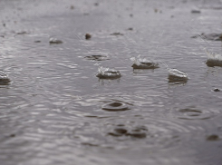 К концу рабочей недели в Тамбове ожидается дождь и потепление