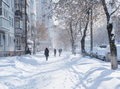 Более 1000 обращений тамбовчан в ЦУР касались уборки снега