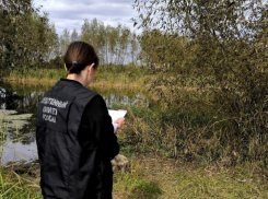 В Токарёвском округе в пруду обнаружено тело пенсионера