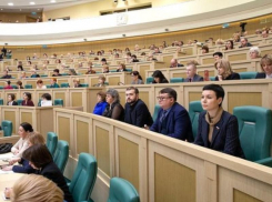 Тамбовские театралы в Совете Федерации обсудили проблемы детских театров 