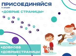 Тамбовчан призывают помочь животным из местных приютов