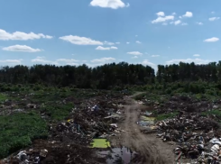 Отравленный мусором чернозём в Дмитриевке: а где экоактивисты?