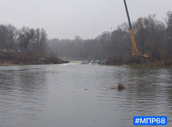 В Пригородном лесу приступили к демонтажу перемычки на Цне