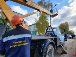 «Тамбовской сетевой компании» удалось снизить потери в электросетях на 17 миллионов рублей