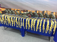 Двое тамбовчан побили рекорд на соревнованиях по пауэрлифтингу
