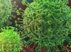 За неделю от коронавируса скончалось 45 тамбовчан