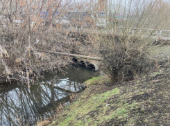 В Тамбове планируют расчистить ещё один участок Студенца