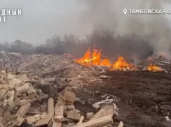 Под Тамбовом обнаружили огромную несанкционированную полыхающую свалку 