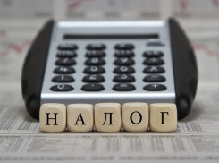 Всех самозанятых в Тамбовской области учтут и обложат налогом
