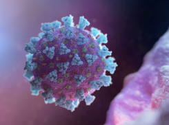 В Тамбовской области выявили 378 человек заболевших коронавирусом за последние сутки 