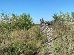 Скотомогильник в Котовске угрожает окружающей среде: прокуратура требует от властей решить проблему 