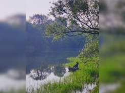 Погода в Тамбове в начале рабочей недели: прохладно и без дождей