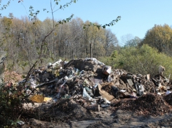 Лес и реку у села Большая Липовица захламили бытовым и строительным мусором