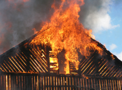 При пожаре в частном доме в деревне Измайловка погибли двое