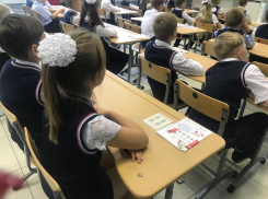 Тамбовские школьники начнут учебный год в обычном режиме