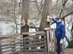 Котовский пенсионер строит беличье «царство» у реки Цны